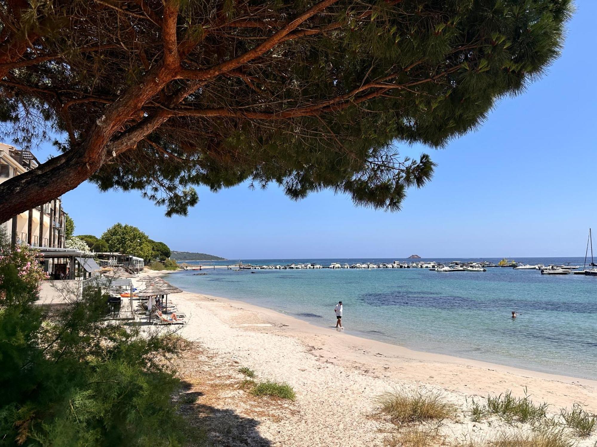 Charmant 2 Piece Tout Equipe Climatise Sainte-Lucie de Porto-Vecchio Exterior photo